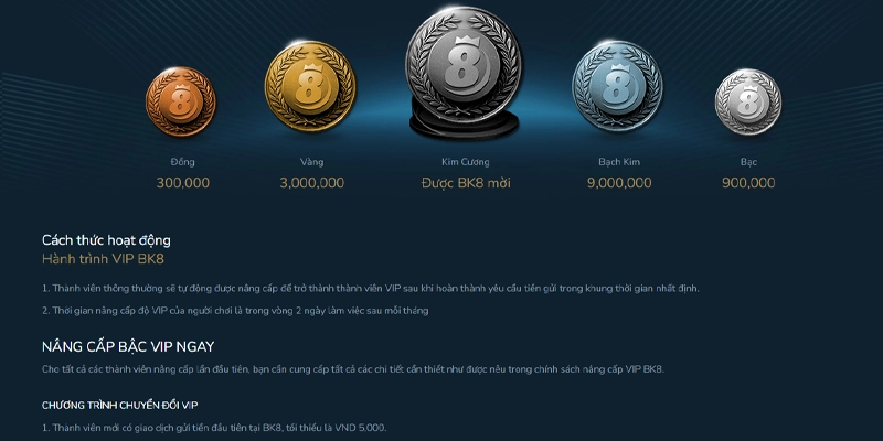 Điều kiện trở thành hội viên VIP và cách thăng hạng