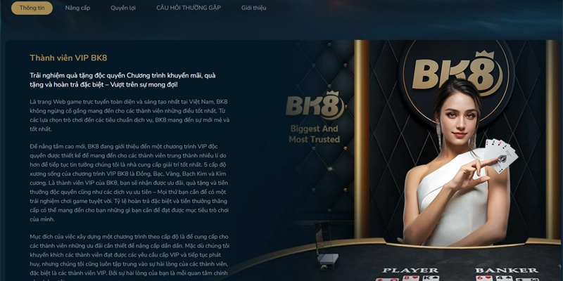Giới thiệu về chương trình VIP tại BK8