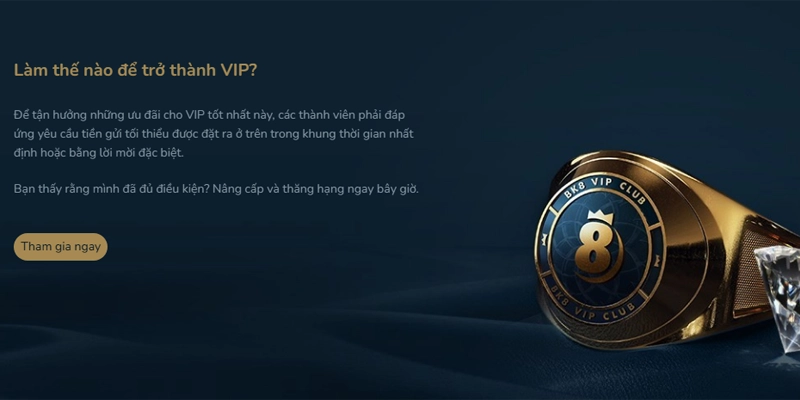 Hướng dẫn chuyển đổi VIP cho tân binh BK8